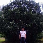  ,   , 55 ,   c , 