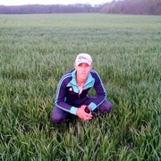 ���������� ������-��-����, ���� ������� ����, 31 ���, ������������ ��� ������, ����� � ���������