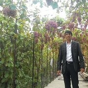  ,   Azim, 38 ,   ,   