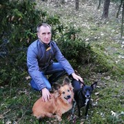  ,   , 48 ,   ,   
