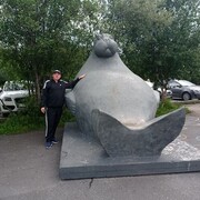 ���������� ���������, ���� ������� ������, 41 ���, ������������ ��� ������, ����� � ���������, c�������� ���������