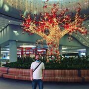  Mimarsinan,   Farukh, 28 ,   ,   
