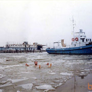 ���������� ������, ���� ������� Serg, 66 ���, ������������ 