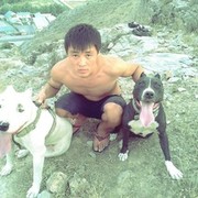 ���������� ������, ���� ������� Timow, 32 ����, ������������ ��� ������