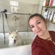  -,   , 42 ,     , c , 