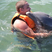 ���������� ��������, ���� ������� �����, 43 ����, ������������ ��� ����� � ���������, c�������� ���������