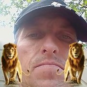  ,    dima, 44 ,   ,   , c 