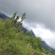 ���������� ���������, ���� ������� ˸��, 37 ���, ������������ ��� ������, ����� � ���������, c�������� ���������