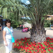  ,   , 62 ,   ,   , c 