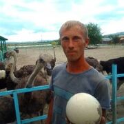 ���������� ������������, ���� ������� ���������, 43 ����, ������������ ��� c�������� ���������, ���������