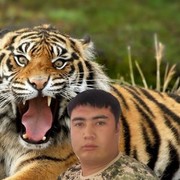 ���������� �����-���������, ���� ������� Bahti, 35 ���, ������������ ��� ������, ����� � ���������, c�������� ���������