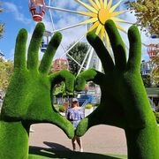 ���������� �����-���������, ���� ������� ��������, 23 ����, ������������ ��� ����� � ���������, c�������� ���������