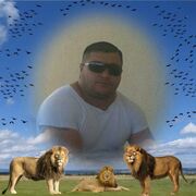 ���������� �������, ���� ������� ����, 42 ����, ������������ ��� ������, ����� � ���������, c�������� ���������