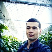  ,   Jaxaa, 37 ,   ,   , c 