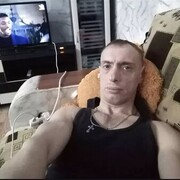  -,  , 41
