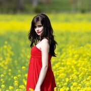 ���������� ��������, ������� ������, 33