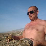  ,   , 56 ,   