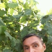  -,   , 58 ,     , c 