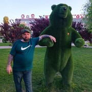 ���������� ���������, ���� ������� �����, 44 ����, ������������ ��� ������, ����� � ���������, c�������� ���������, ���������