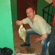 ���������� ������������, ���� ������� ���������, 41 ���, ������������ ��� ������