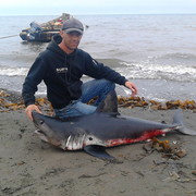 ���������� �������, ������� viktor, 49