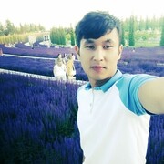 ���������� �������������, ���� ������� ���, 29 ���, ������������ 