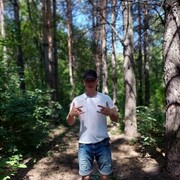 ���������� �����������, ���� ������� ������, 31 ���, ������������ ��� c�������� ���������, ���������