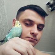 ���������� �������, ���� ������� �������, 31 ���, ������������ ��� ������, ����� � ���������