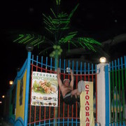  ,   , 46 ,     , c 