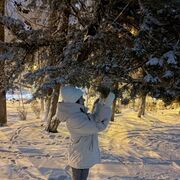 ���������� ����, ���