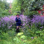 ���������� ������-��-����, ���� ������� ������, 46 ���, ������������ ��� ������, ����� � ���������, c�������� ���������