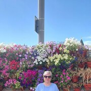 ���������� ���������, ���� ������� �������, 67 ���, ������������ ��� ������, ����� � ���������, ���������