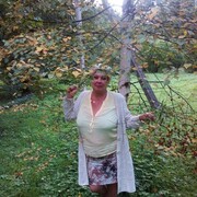  ,   , 55 ,     , 