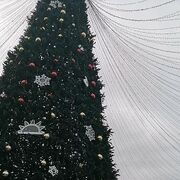 ���������� �����, ���� ������� �������, 72 ����, ������������ ��� ������, ����� � ���������