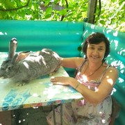  ,   , 62 ,  