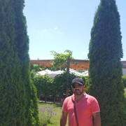  Ahaus,   Zoran, 39 ,     , c 