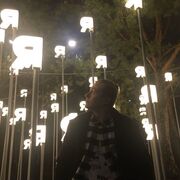 ���������� ����, ���� ����� ����, 24 ����, ������������ ��� ������, ����� � ���������