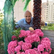 ���������� �����, ���� ������� �������, 50 ���, ������������ ��� ������, ����� � ���������