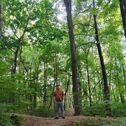 ���������� ������, ���� ����� Donni, 25 ���, ������������ ��� ������, ����� � ���������