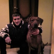 ���������� ������ ��������, ���� ������� �������, 44 ����, ������������ ��� ������, ����� � ���������, c�������� ���������