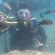 ���������� ������, ���� ������� �����, 48 ���, ������������ 