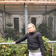  Zwickau,   , 34 ,   ,   , c , 