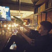 ���������� ������, ���� ����� Stepan, 24 ����, ������������ ��� ������, ����� � ���������, c�������� ���������