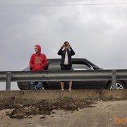 ���������� ������, ���� ������� �����, 37 ���, ������������ ��� ������, ����� � ���������, c�������� ���������