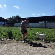 ���������� ����������, ���� ������� ����, 34 ����, ������������ ��� c�������� ���������