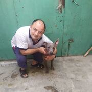  ,   Anar, 47 ,     , c , 