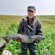  ,   Andrey, 50 ,     , c , 