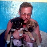 ���������� ���������, ���� ������� ����, 50 ���, ������������ 