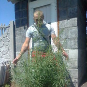  ,  YURIY, 43