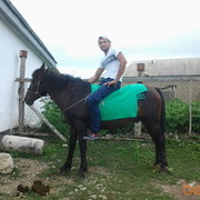  ,   DAG, 37 ,   ,   , c 